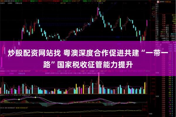 炒股配资网站找 粤澳深度合作促进共建“一带一路”国家税收征管能力提升