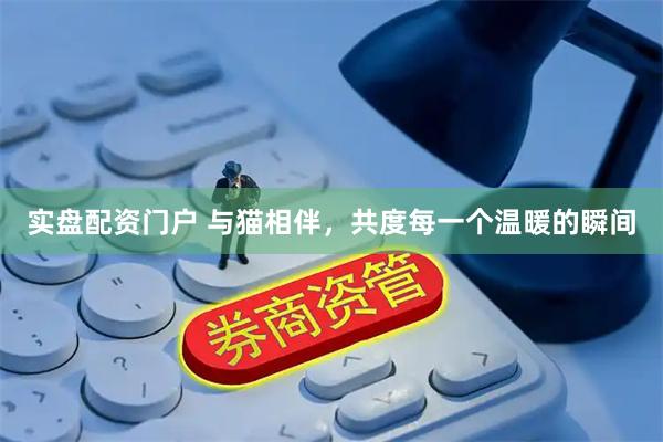 实盘配资门户 与猫相伴，共度每一个温暖的瞬间