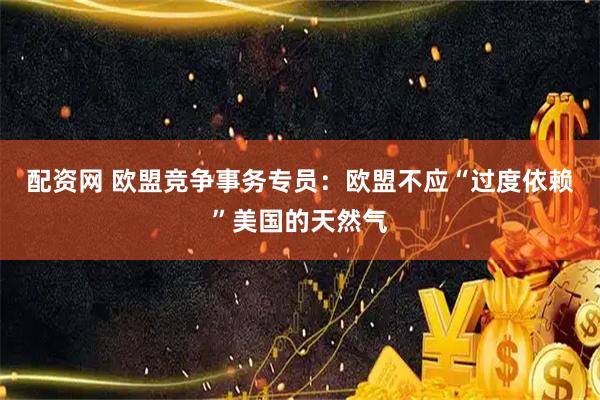 配资网 欧盟竞争事务专员：欧盟不应“过度依赖”美国的天然气