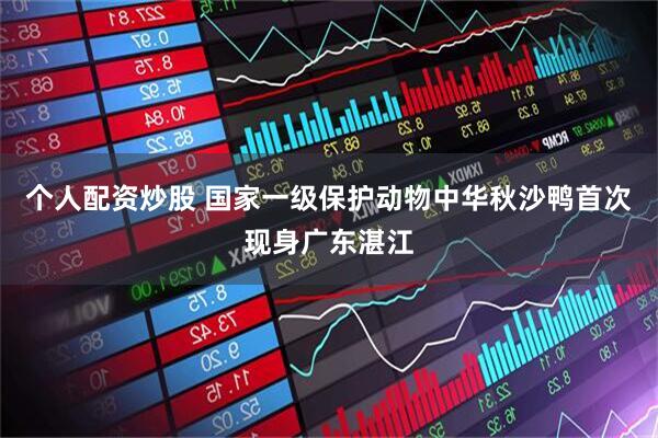 个人配资炒股 国家一级保护动物中华秋沙鸭首次现身广东湛江