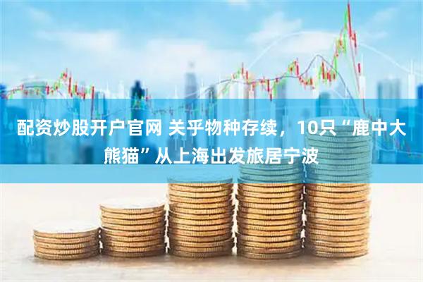 配资炒股开户官网 关乎物种存续，10只“鹿中大熊猫”从上海出发旅居宁波