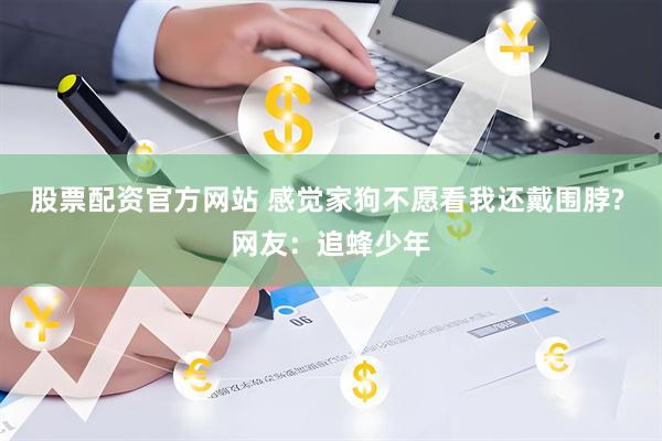 股票配资官方网站 感觉家狗不愿看我还戴围脖? 网友：追蜂少年