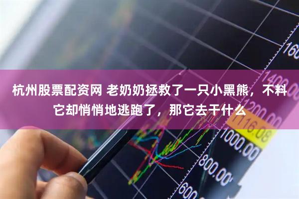 杭州股票配资网 老奶奶拯救了一只小黑熊，不料它却悄悄地逃跑了，那它去干什么